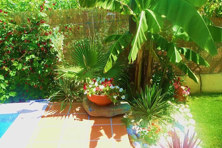 Casa Da Pedrosa Bed & Breakfast Ponte de Lima Eksteriør bilde
